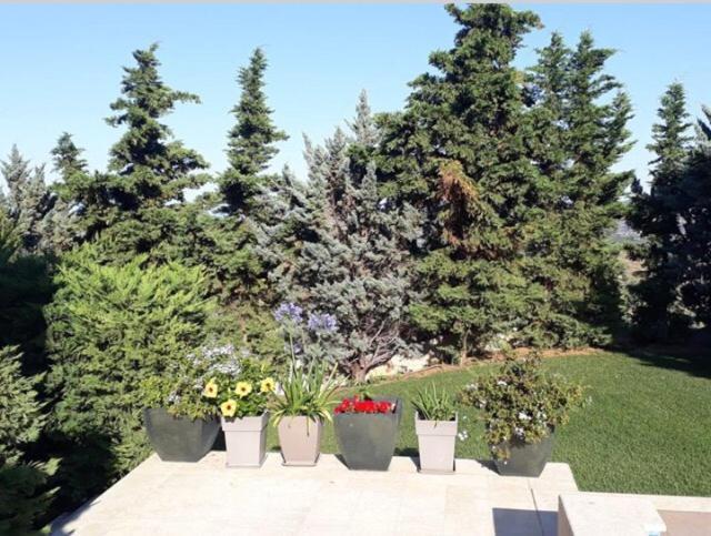 Villa Corina Near The Airport Kouvaras Экстерьер фото